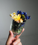 Room Fragrance Complete set No.16