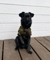 Open Collar Shirt-01