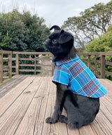 Open Collar Shirt-03