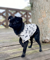 【再入荷】Open Collar Shirt-04