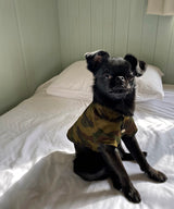 Open Collar Shirt-01