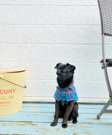 Open Collar Shirt-03