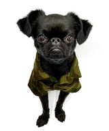 Open Collar Shirt-01