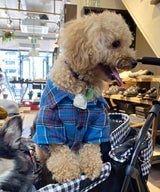 Open Collar Shirt-03