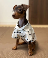 【再入荷】Open Collar Shirt-04