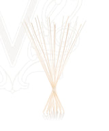 GINGER & LIME 500ml Refill