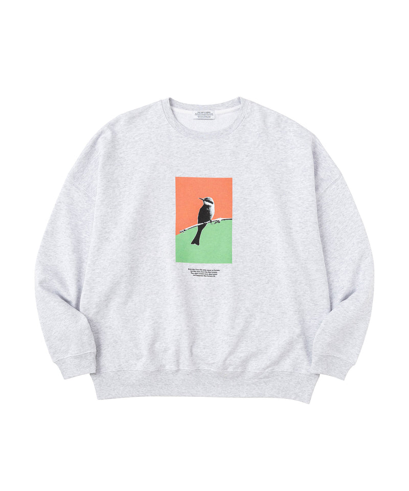 BIRD INKJET OVERSIZED SWEAT