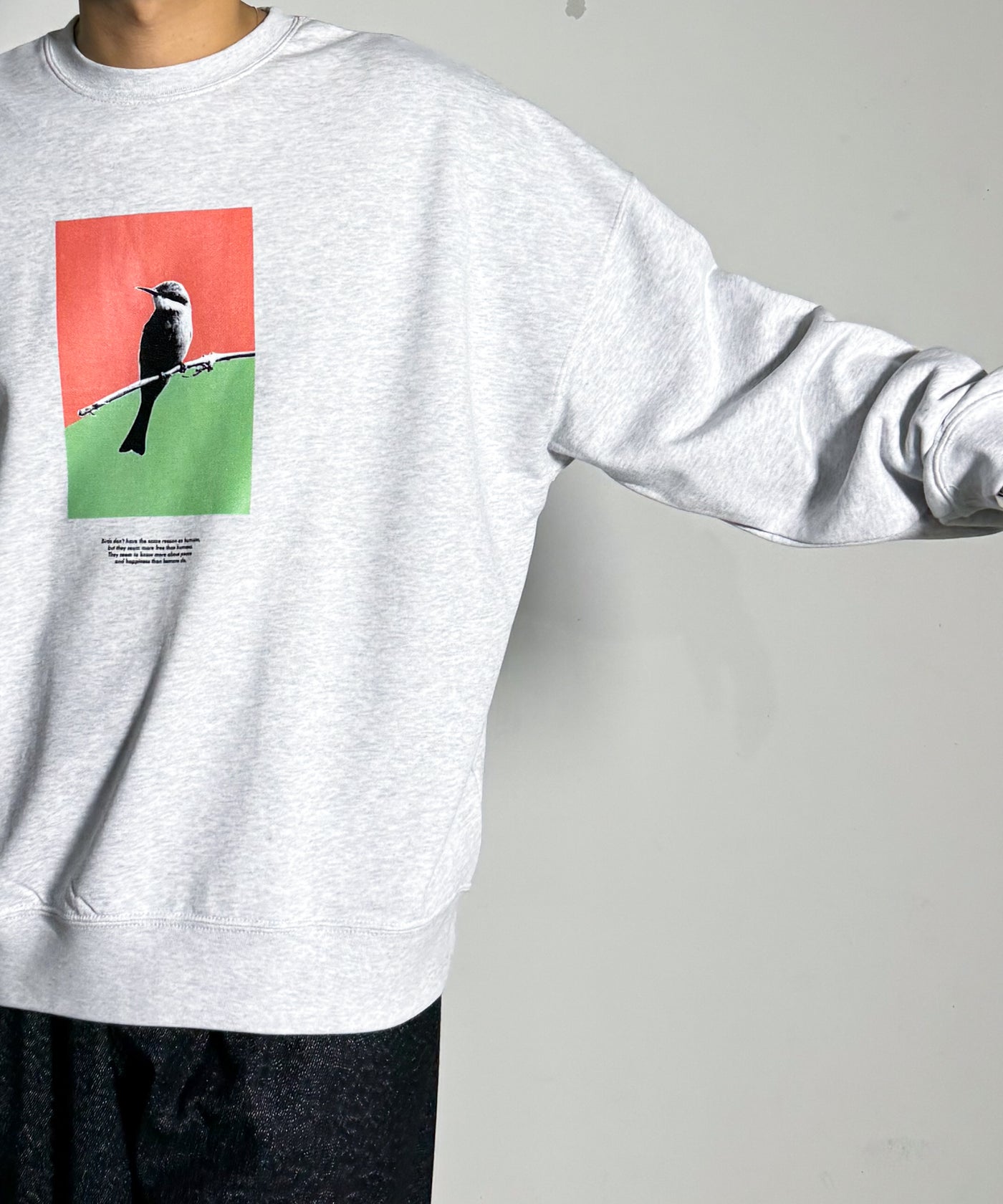 POET MEETS DUBWISE / BIRD INKJET OVERSIZED SWEAT ポエトミーツ 