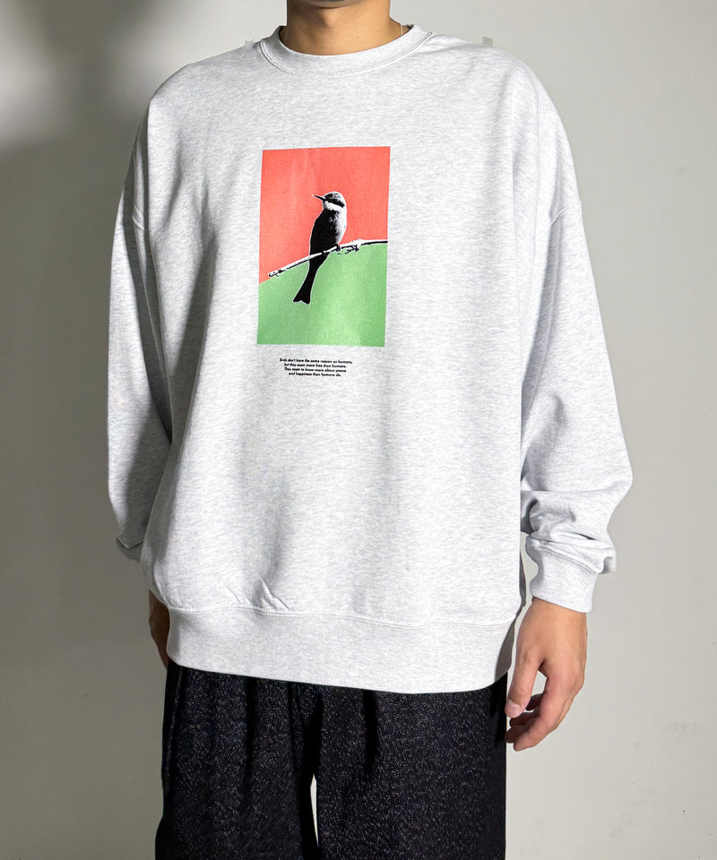 BIRD INKJET OVERSIZED SWEAT