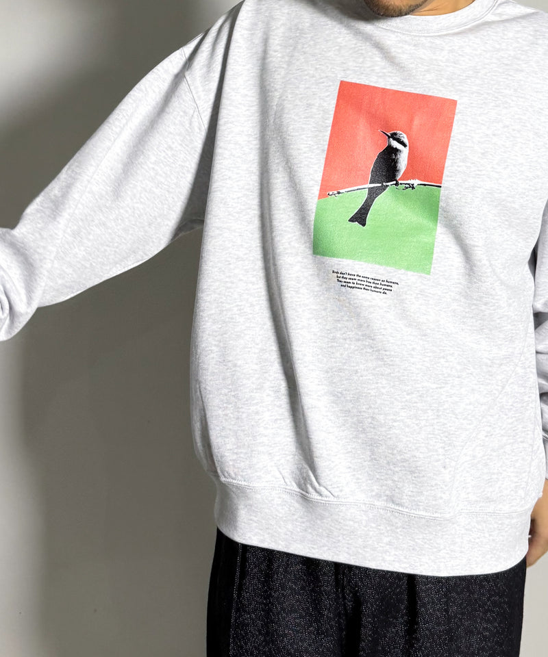BIRD INKJET OVERSIZED SWEAT
