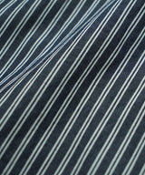 【予約】VASTAR